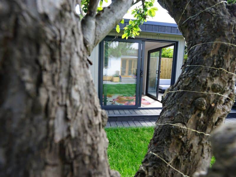 Hidden behind a tree