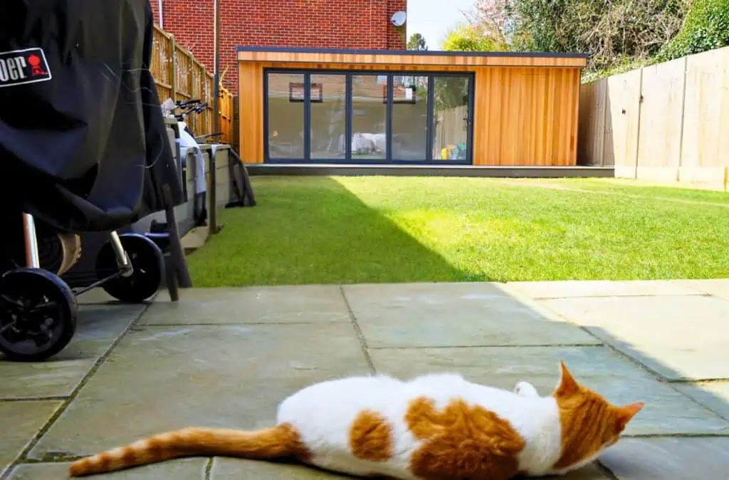 Garden Room CAt